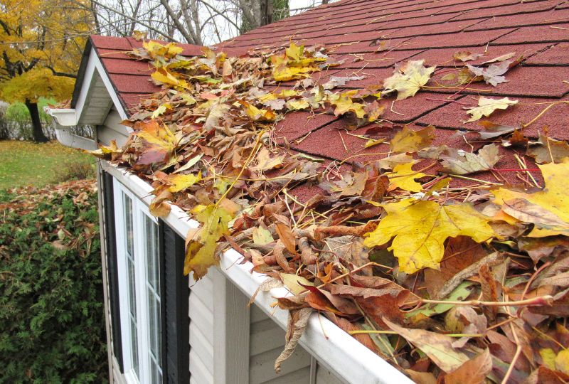 Roofing Service in Fall